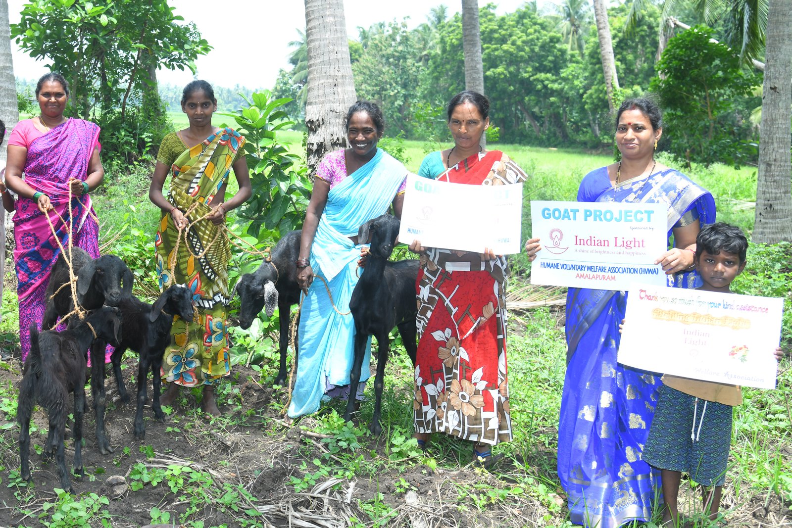 Amalapuram - India_Project Goatery - Geitenhouderij
