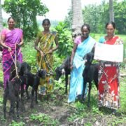 Amalapuram-India_Project