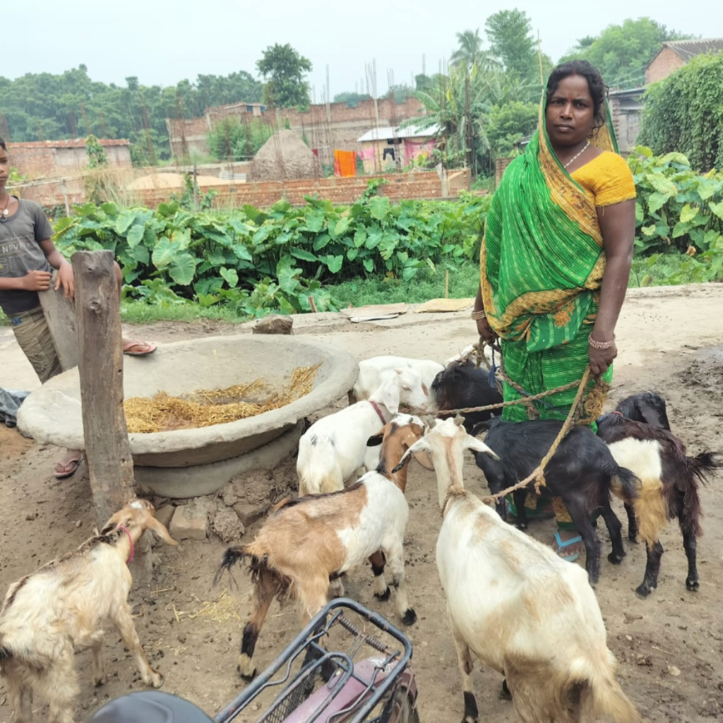 Geitenproject Women empowerment